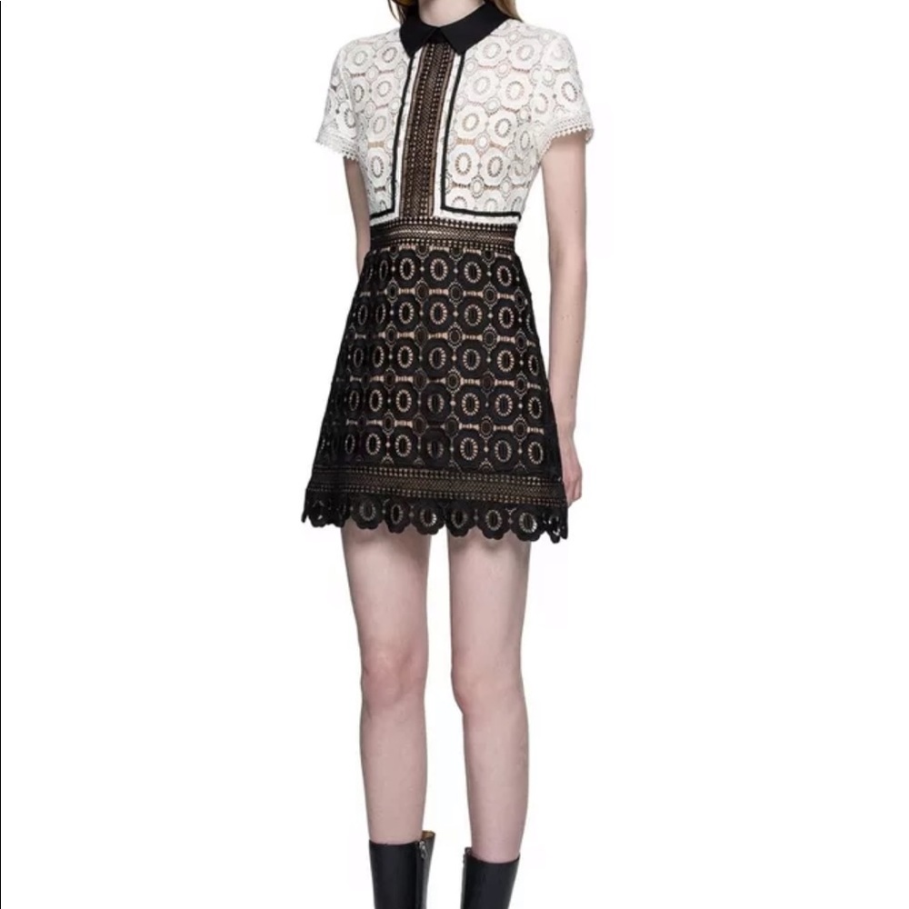 ❌Sold❌ Collar Dress GUC - Picture 5 of 6
